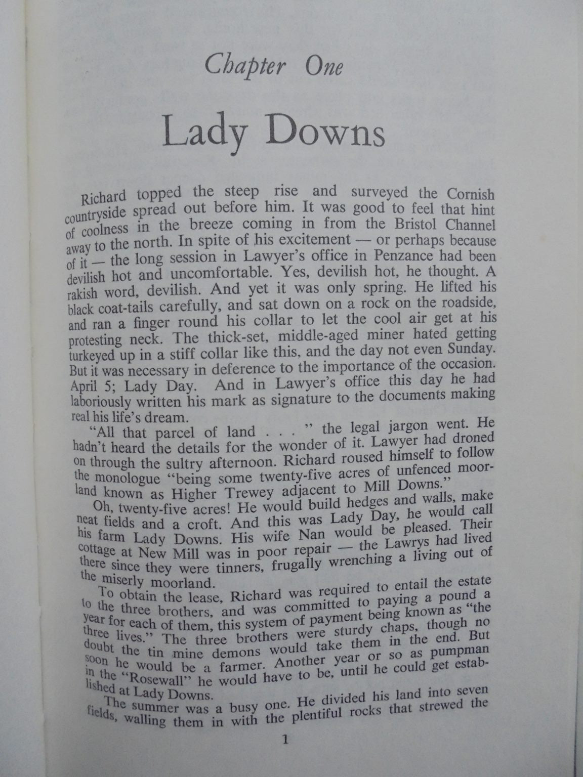 Good Luck and Lavender. (Pioneer settlers in Timaru.) by Marie Lawry