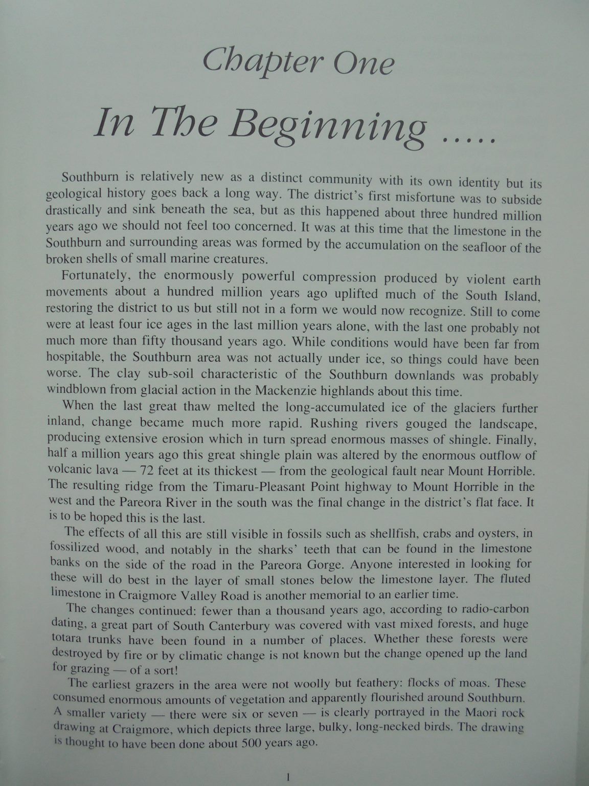 South Of The Burn - The Southburn Story 1892-1992 by John Button