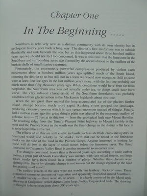 South Of The Burn - The Southburn Story 1892-1992 by John Button