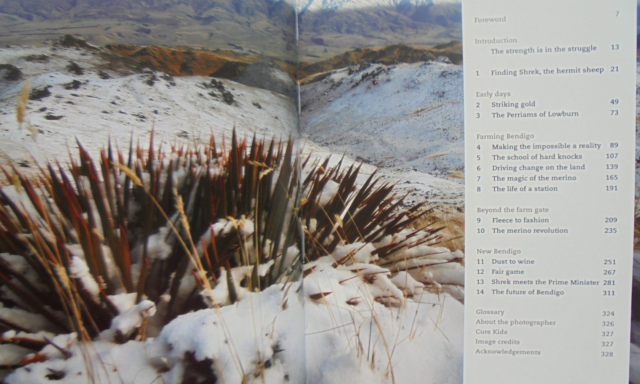 Dust to Gold : The Inspiring Story of Bendigo Station. by John Perriam. SIGNED BY AUTHOR