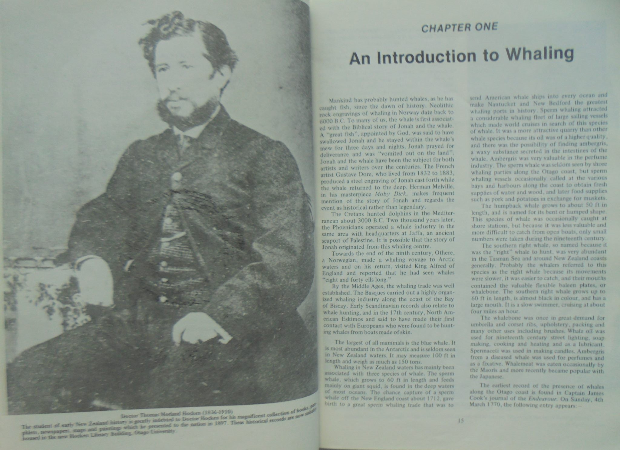 Whaling in Southern Waters by Frank Tod.