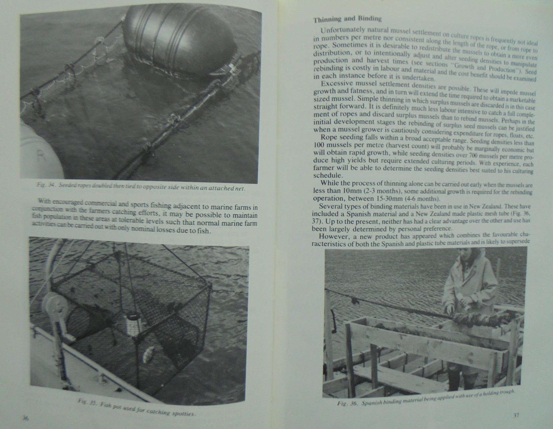 Mussel Cultivation in the Marlborough Sounds (New Zealand) by R. J. Jenkins. VERY SCARCE.