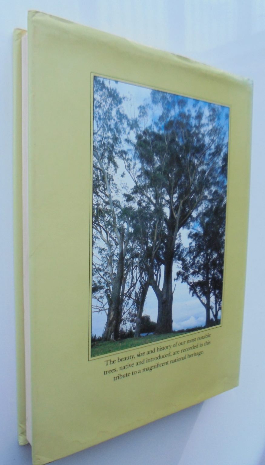 Great Trees of New Zealand BY S.W. Burstall & E.V. Sale. SIGNED BY S W BURSTALL.