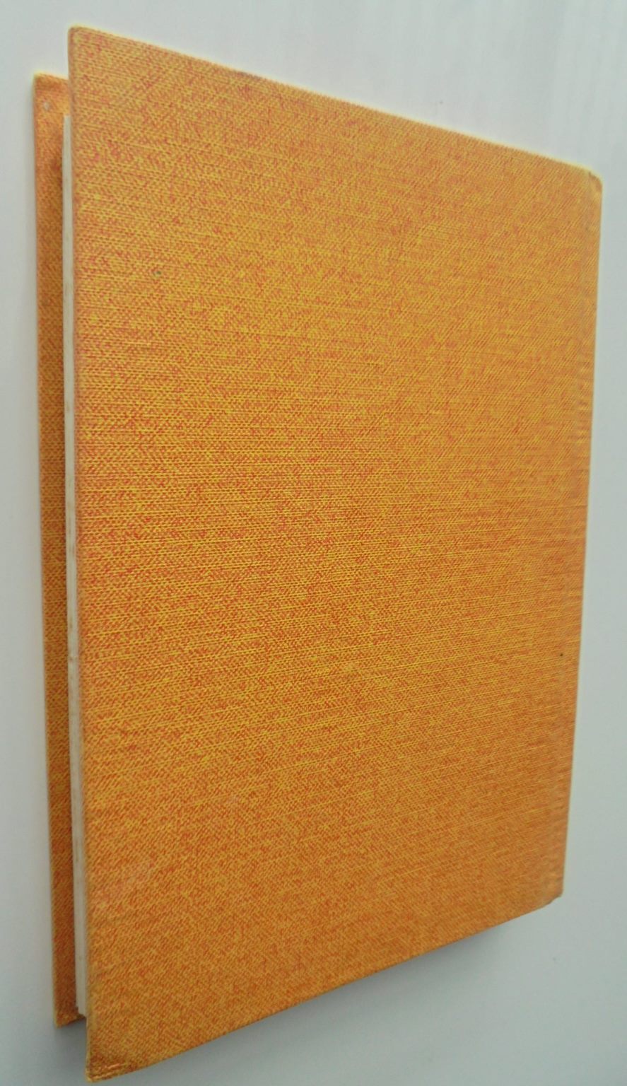 The Gaoler by Elsie Locke. first edition. SCARCE.