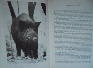 The wild pig in New Zealand by Holden, Philip. HARDBACK