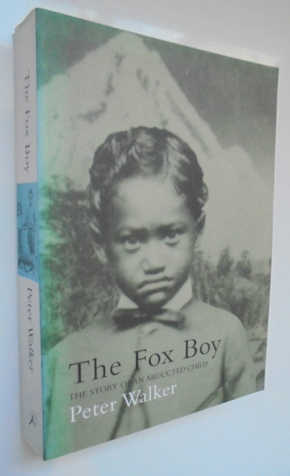 The Fox Boy By Peter Walker. Maori boy captured during the New Zealand wars.