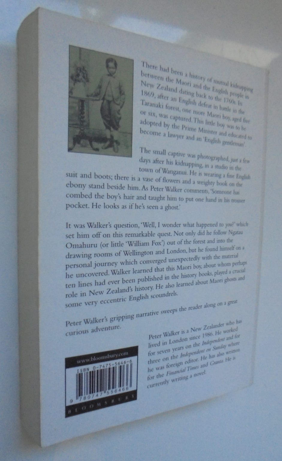 The Fox Boy By Peter Walker. Maori boy captured during the New Zealand wars.