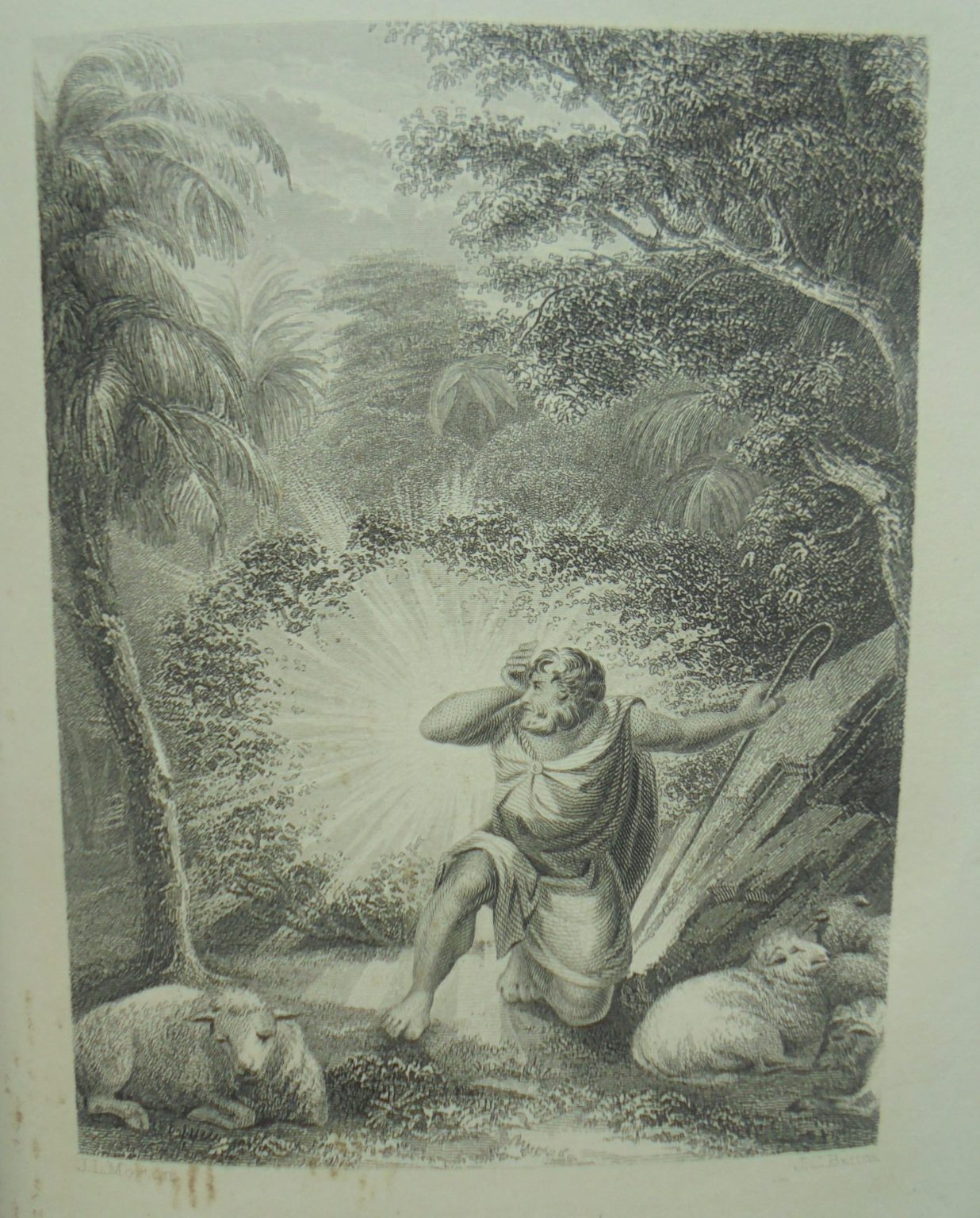 Sacred Biography and History, containing Descriptions of Palestine, Ancient and Modern; Lives of Patriarchs, Kings and Prophets, Christ and the Apostles etc by Osmond Tiffany.