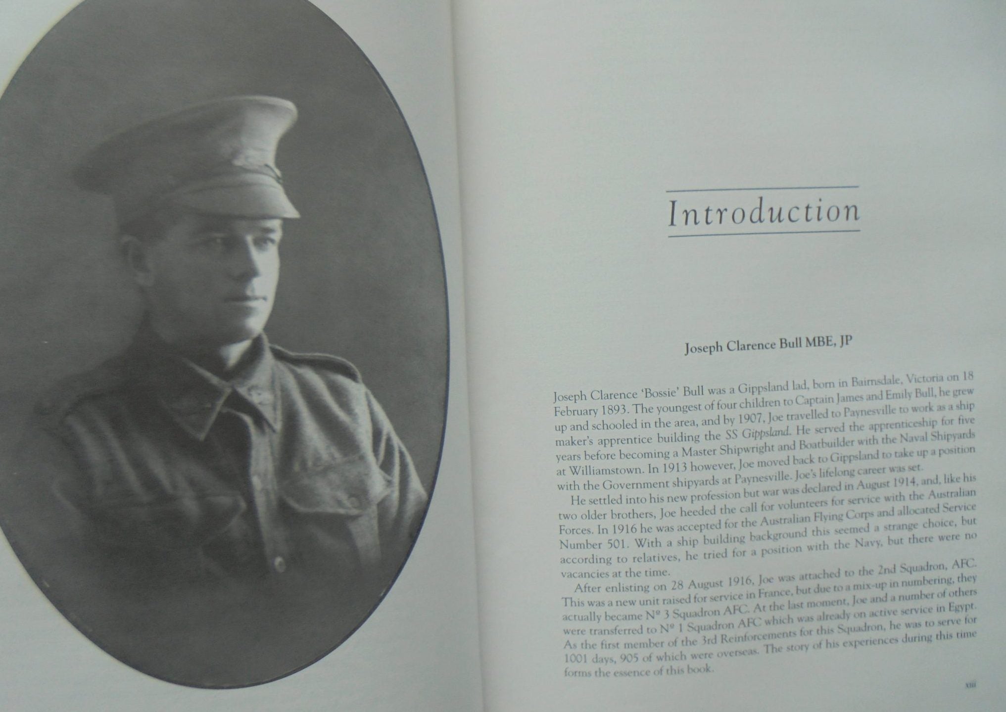 One Airman's War Aircraft Mechanic Joe Bull's Personal Diaries 1916-1919 edited by Mark Lax.