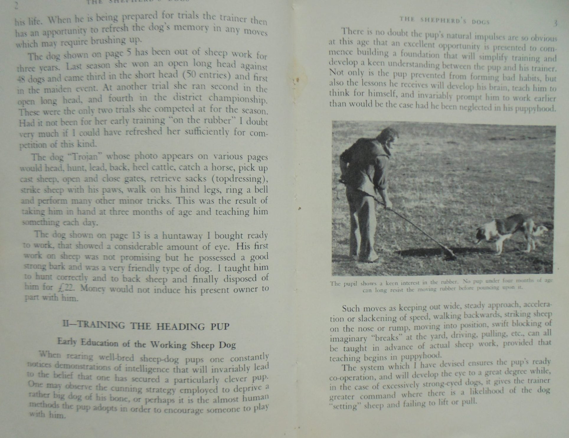 The Shepherd's Dogs: Their Training for Mustering and Trial Work by C. W. G. Hartley.