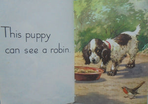 5 Vintage Children's Ladybird Easy Reading Books.