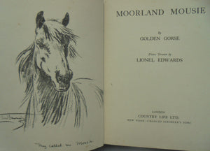 Moorland Mousie by Golden Gorse, drawings by Lionel Edwards