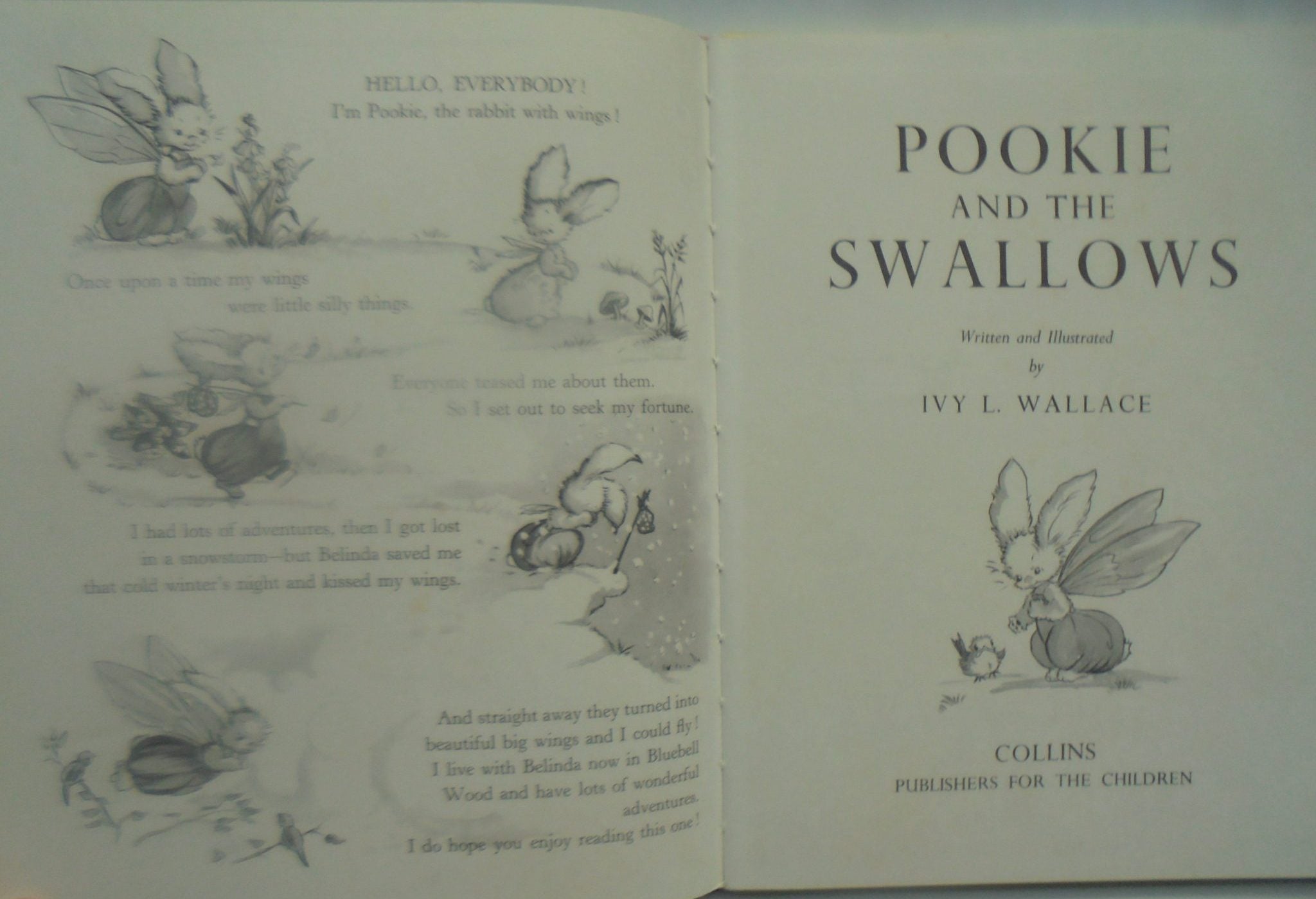 Pookie and the Swallows by Ivy L. Wallace.