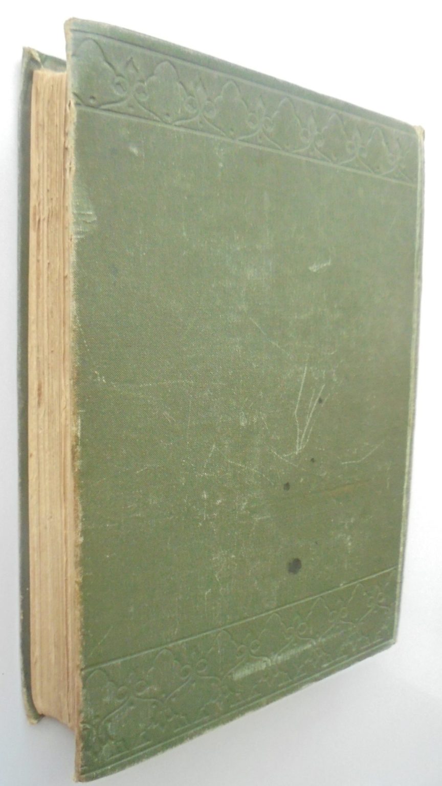 A Chequered Career or Fifteen years in Australia and New Zealand. First Edition (1881)