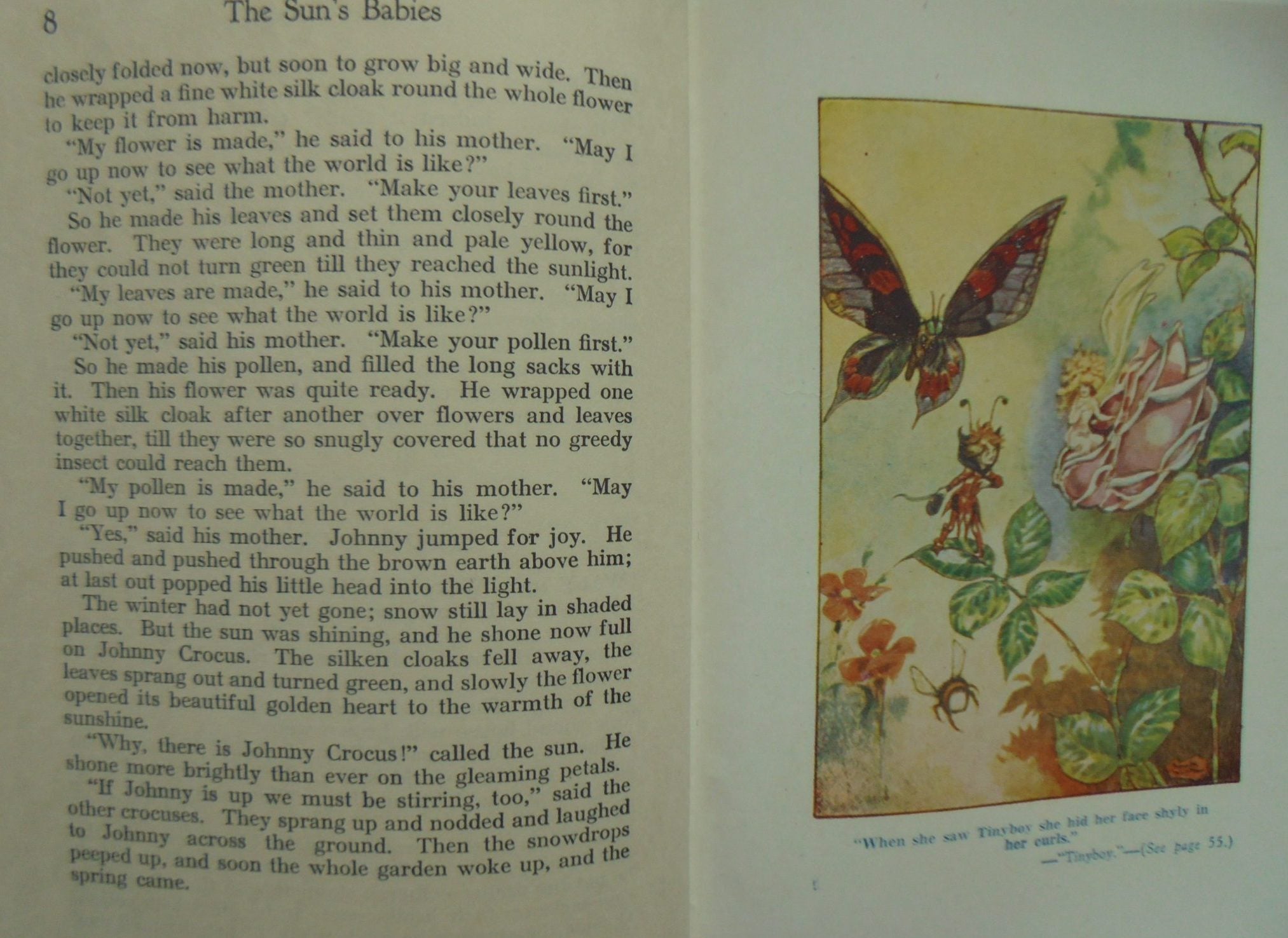 The Sun's Babies by Edith Howes With four illustrations in colour by Frank Watkins.