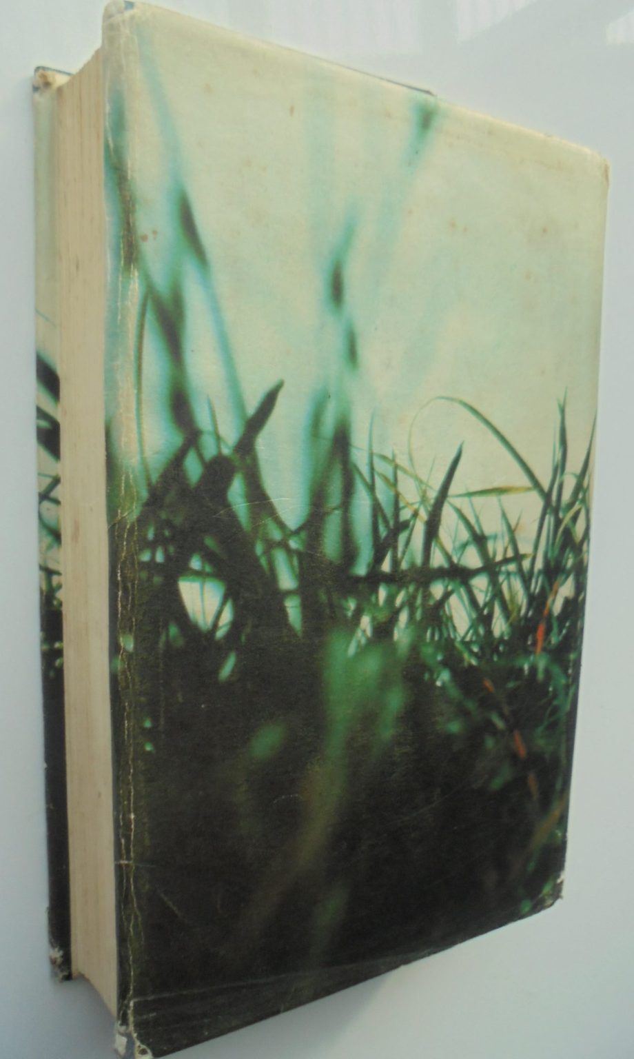 When the Lion Feeds By Wilbur A. Smith. TRUE FIRST EDITION. SCARCE FIRST EDITION OF HIS FIRST NOVEL.