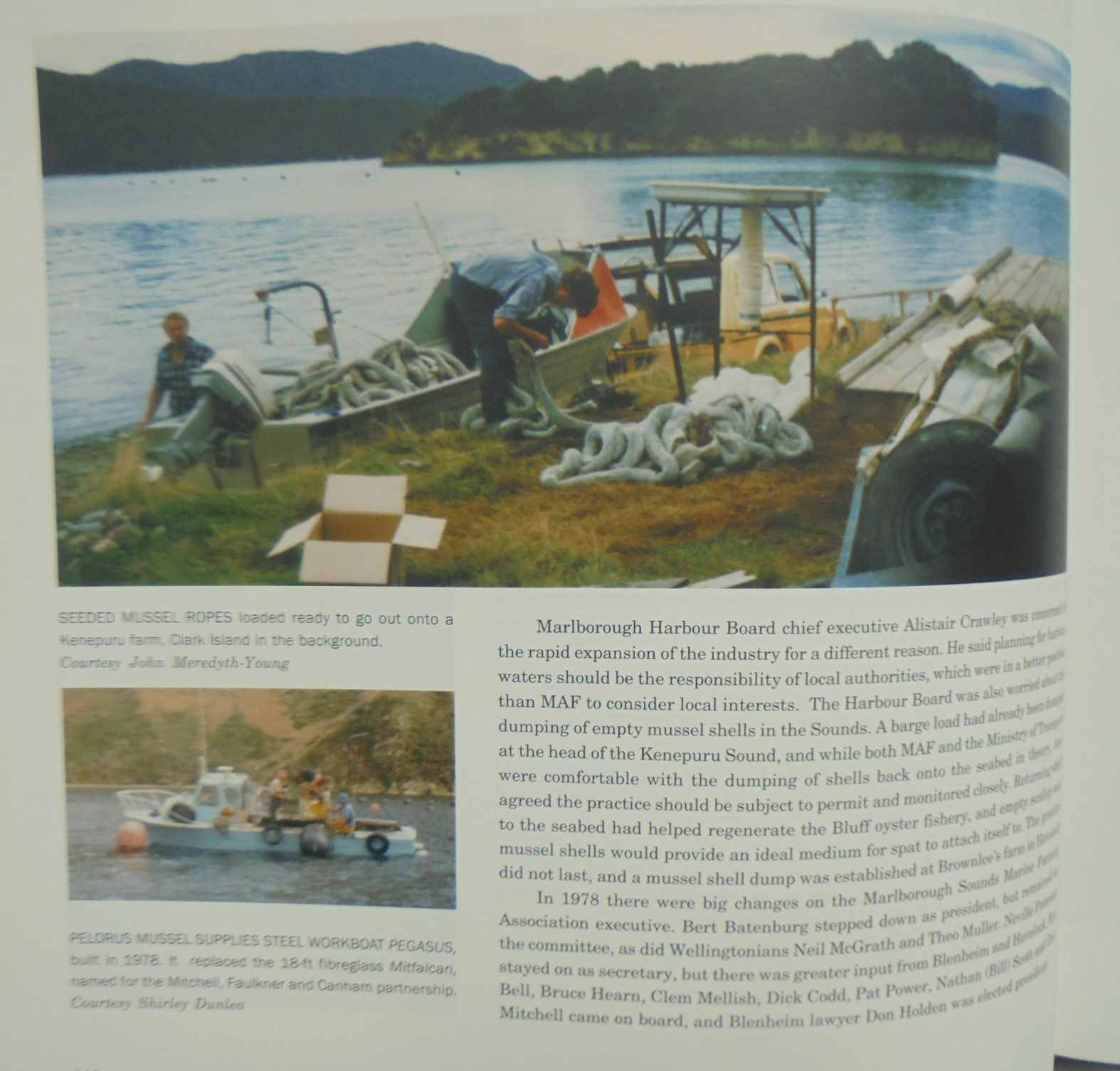 Lines in the Water.  A History of Greenshell Mussel Farming in New Zealand By Carol Dawber. SIGNED BY THE AUTHOR.