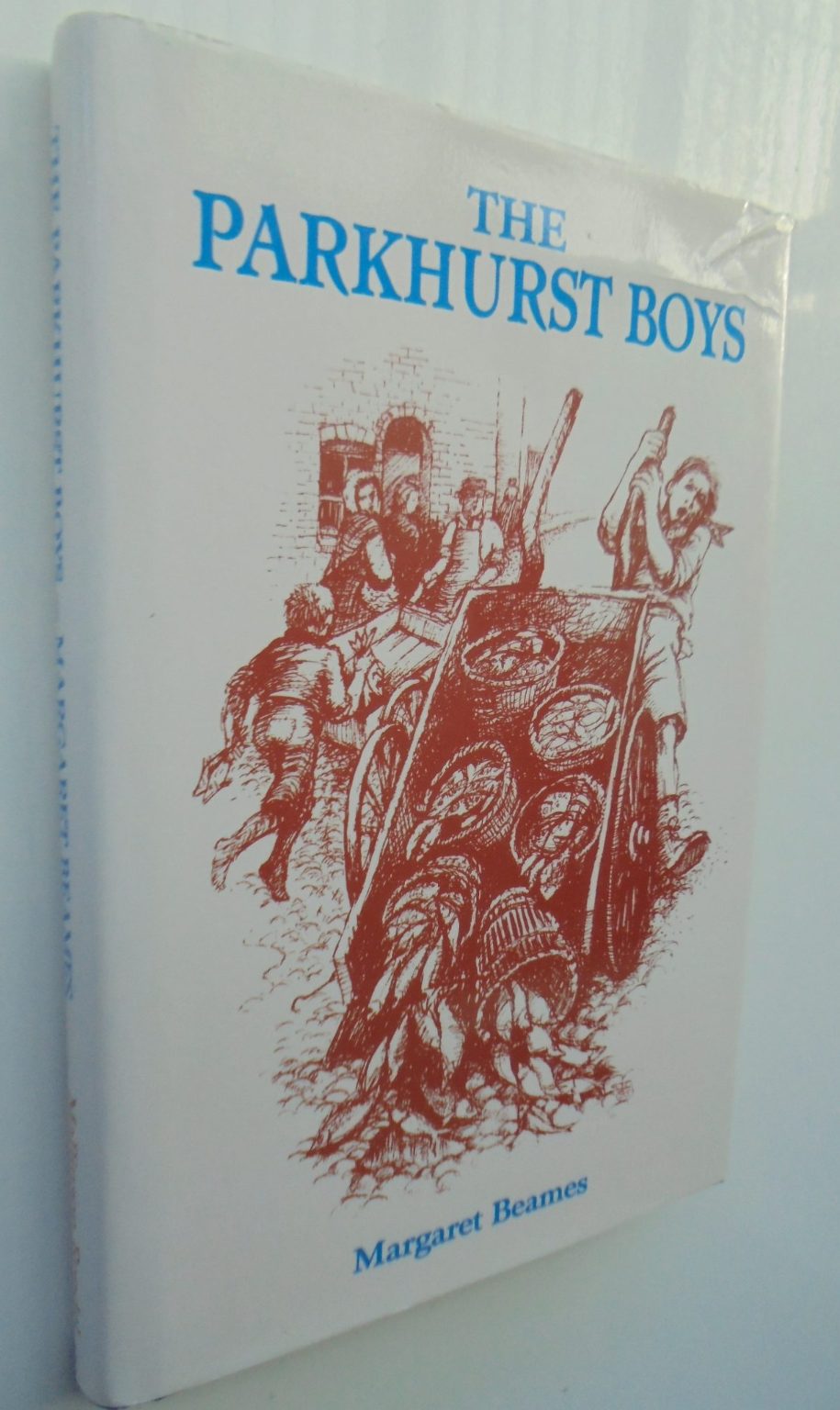 The Parkhurst Boys by Margaret Beames.