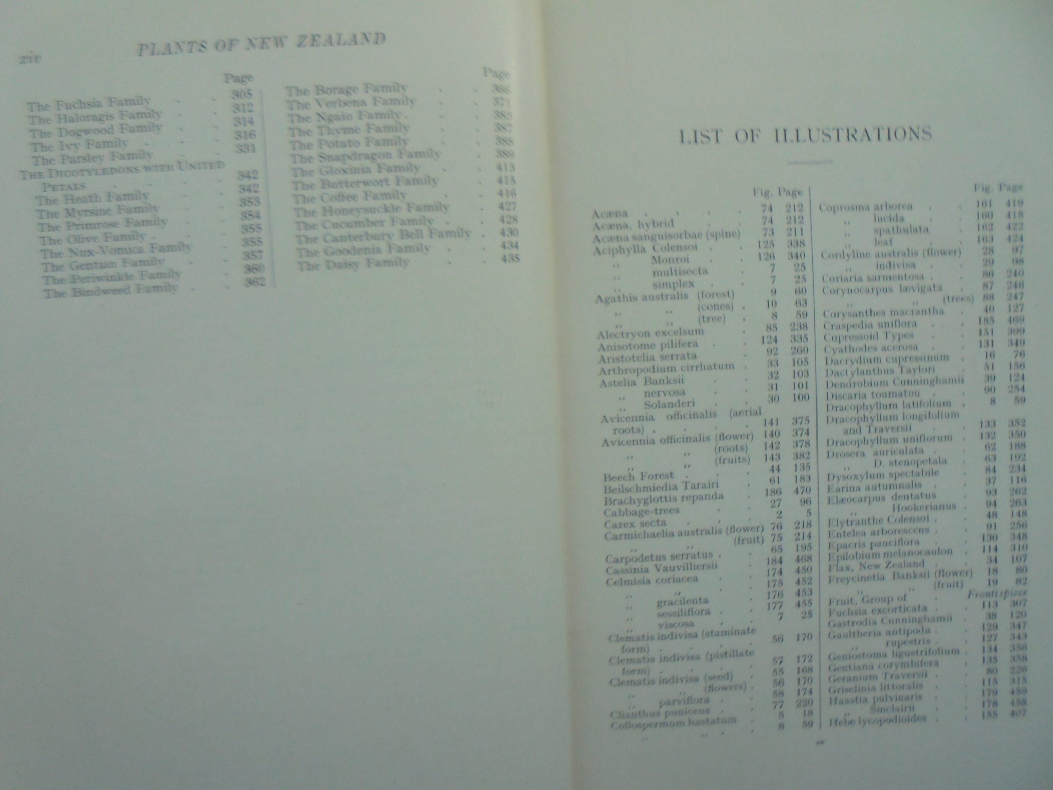 Plants of New Zealand by Laing and Blackwell. 5th edition.