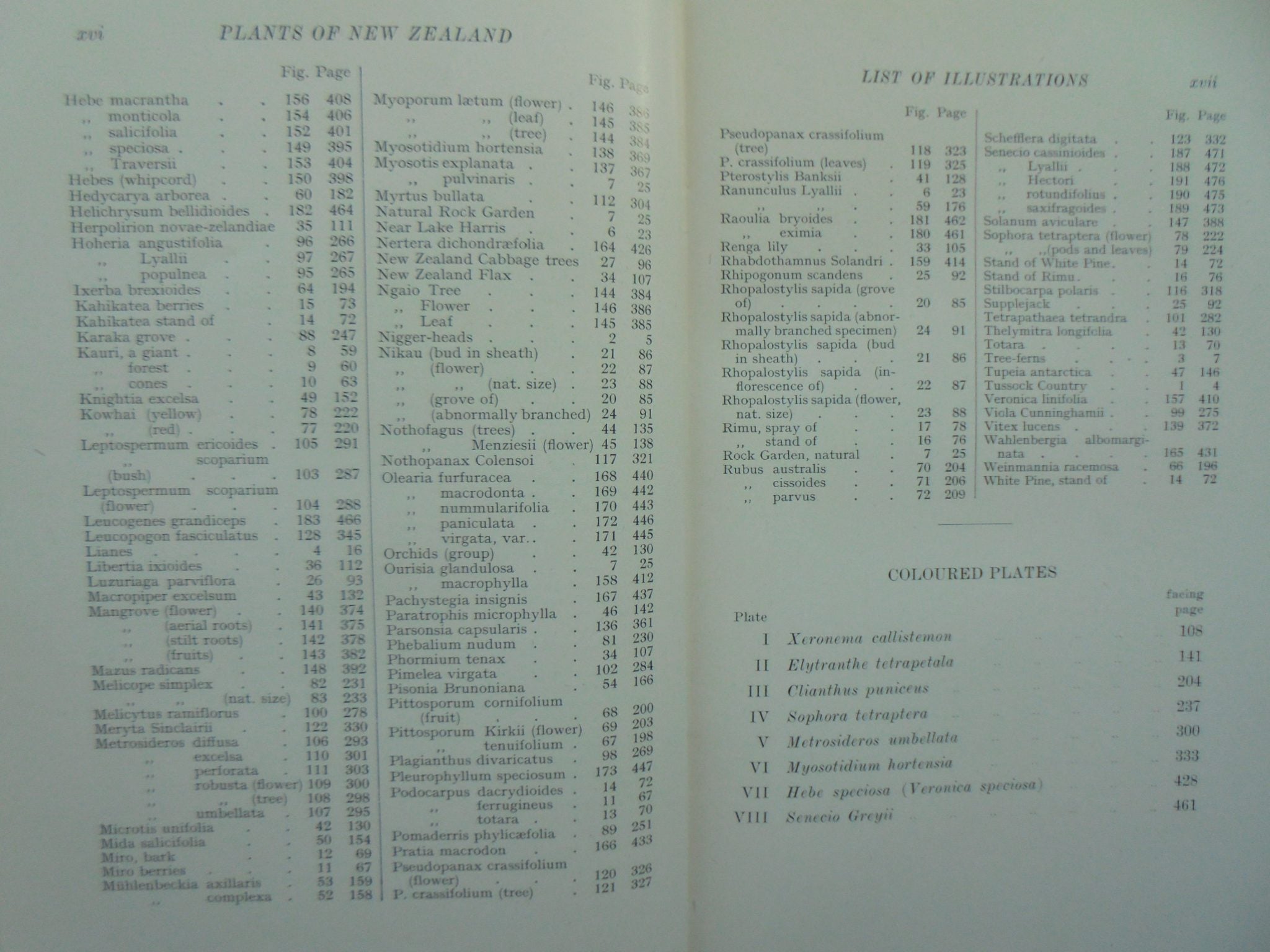 Plants of New Zealand by Laing and Blackwell. 5th edition.