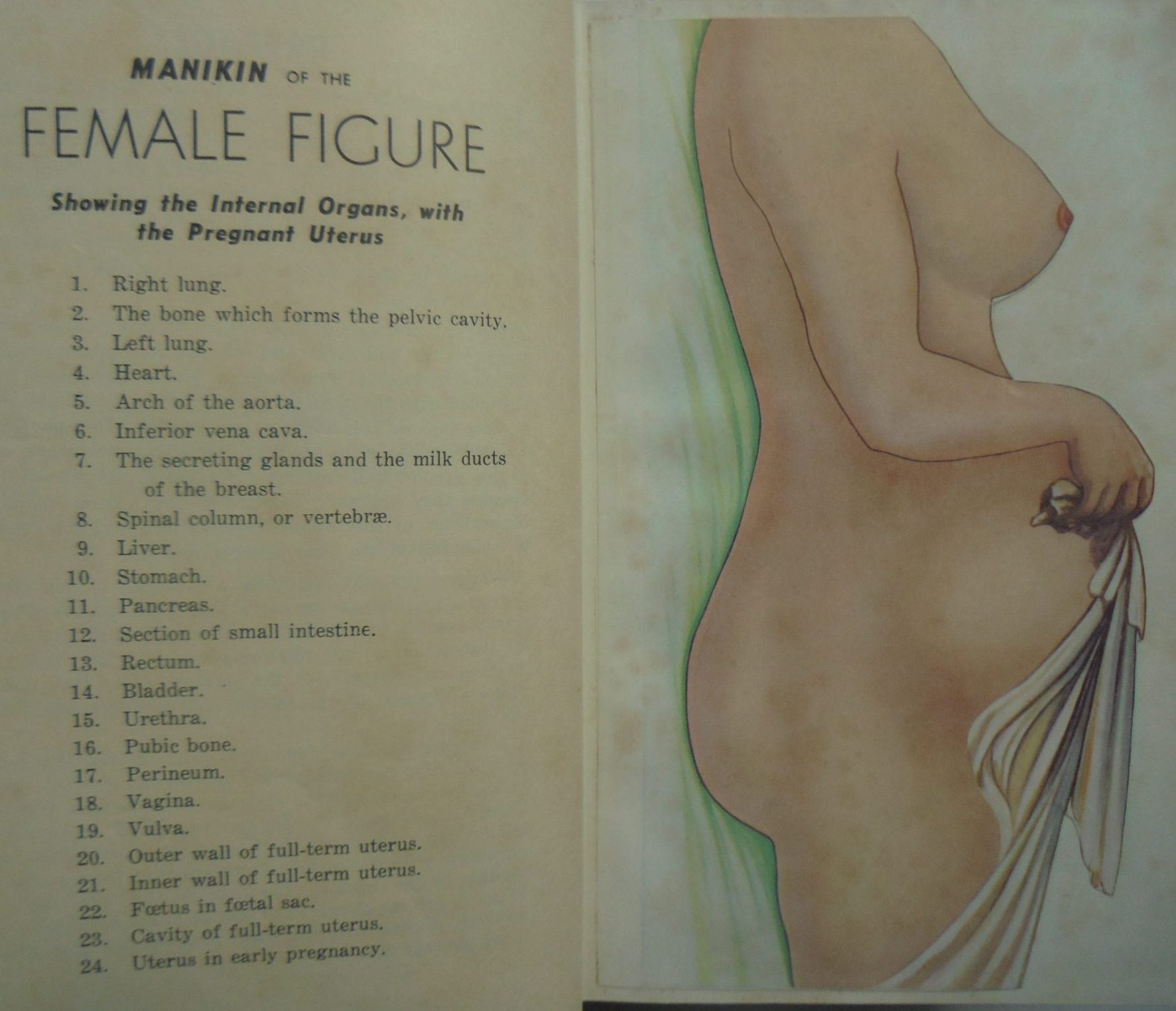 Ladies' Handbook Of Home Treatment (1947) Containing The Best Modern Methods Of Treatment Of Women's & Children's Diseases, With Comprehensive Index Of Symptoms by Eulalia Richards.