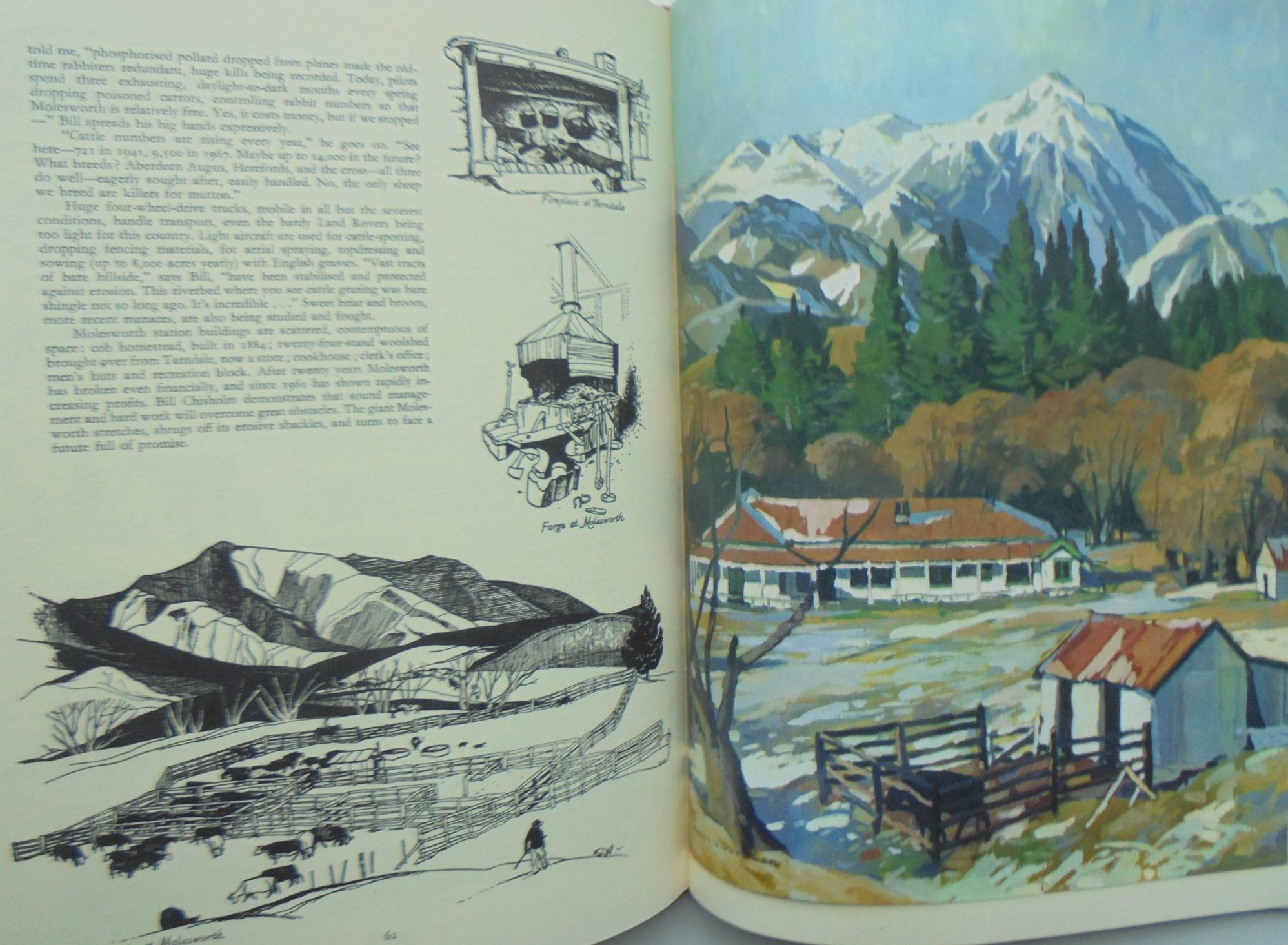 Historic Sheep Stations of the South Island by Colin Wheeler.