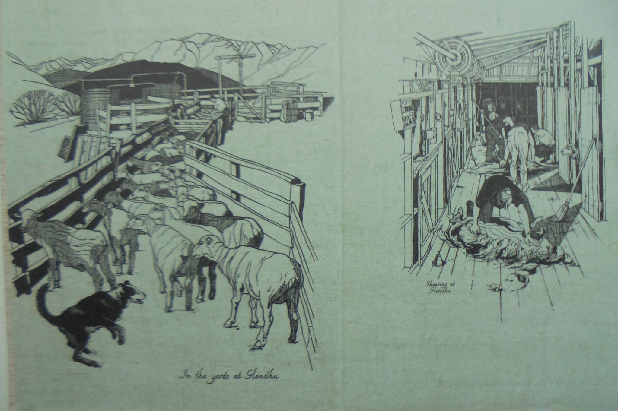 Historic Sheep Stations of the South Island by Colin Wheeler.