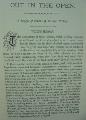 Out in the Open: A Budget of Scraps of Natural History, Gathered in New Zealand by Thomas Henry Potts.