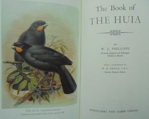 The Book of the Huia by W. J. Phillipps. 1963, FIRST EDITION. VERY SCARCE.