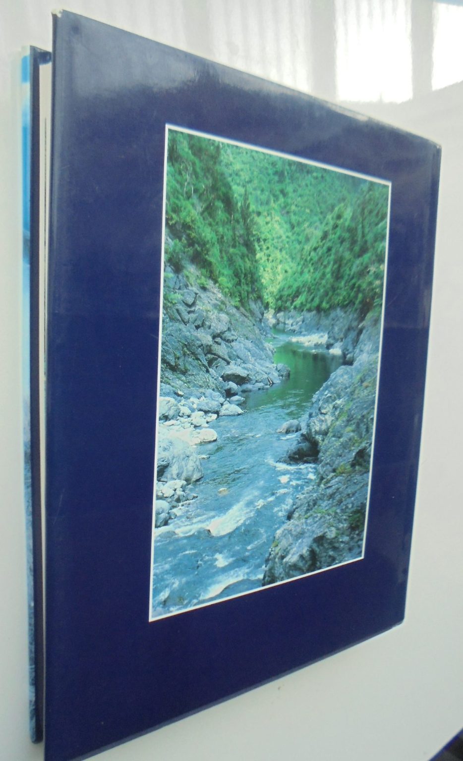 Tararua the Story of a Mountain Range By Chris Maclean.