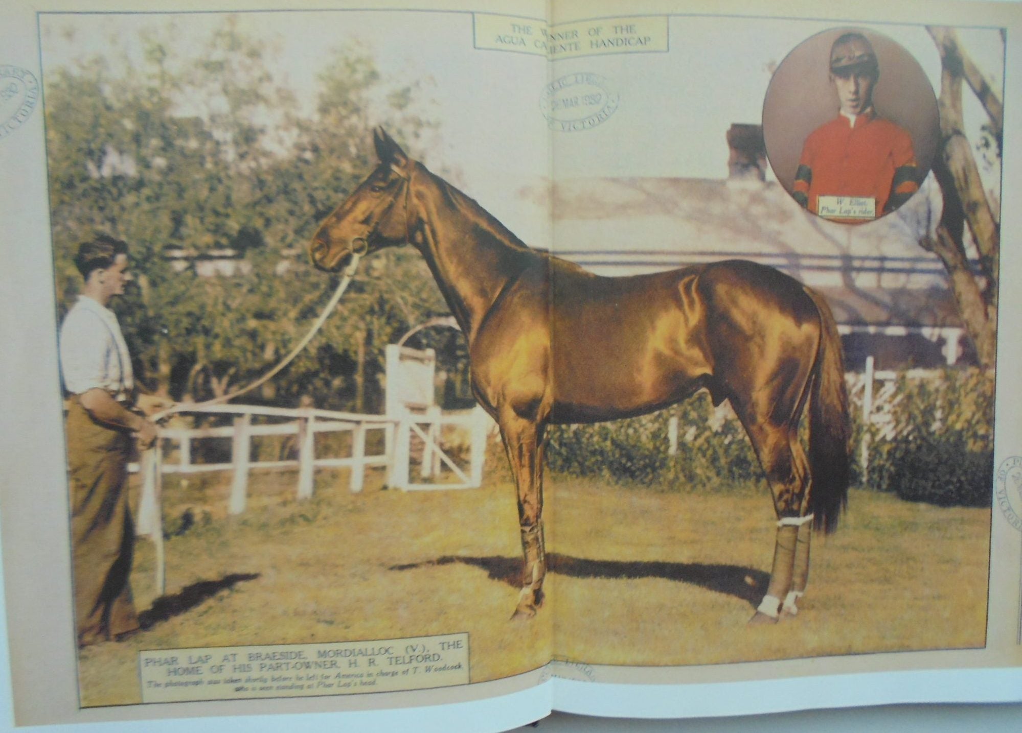 Phar Lap By Armstrong, Geoff, Thompson, Peter.