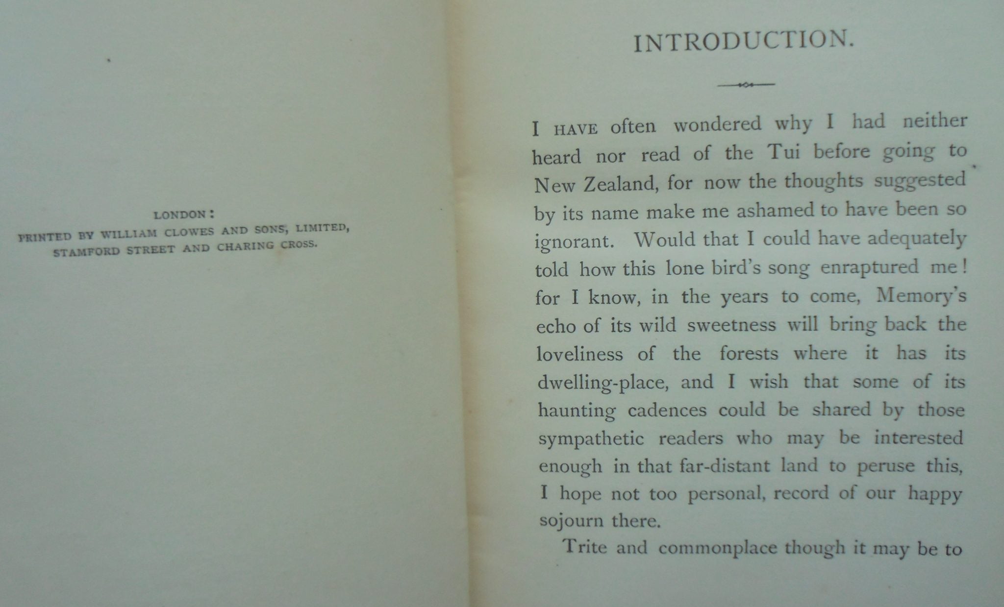 In the Land of the Tui: My Journal in New Zealand. 1894 First Edition