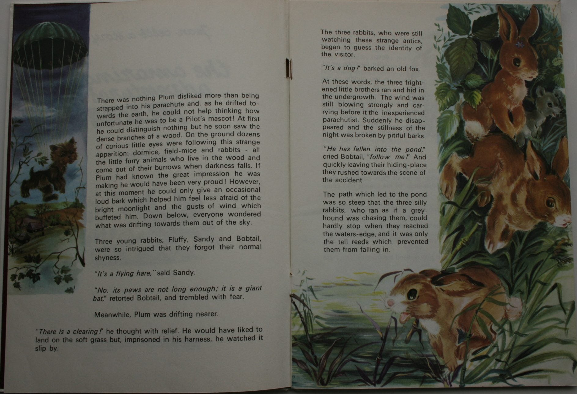 Jean tells a story : the amazing adventures of Plum. by Jean Hardy.