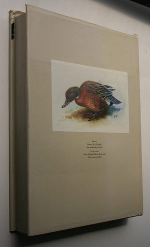 George Edward Lodge - The Unpublished New Zealand Bird Paintings