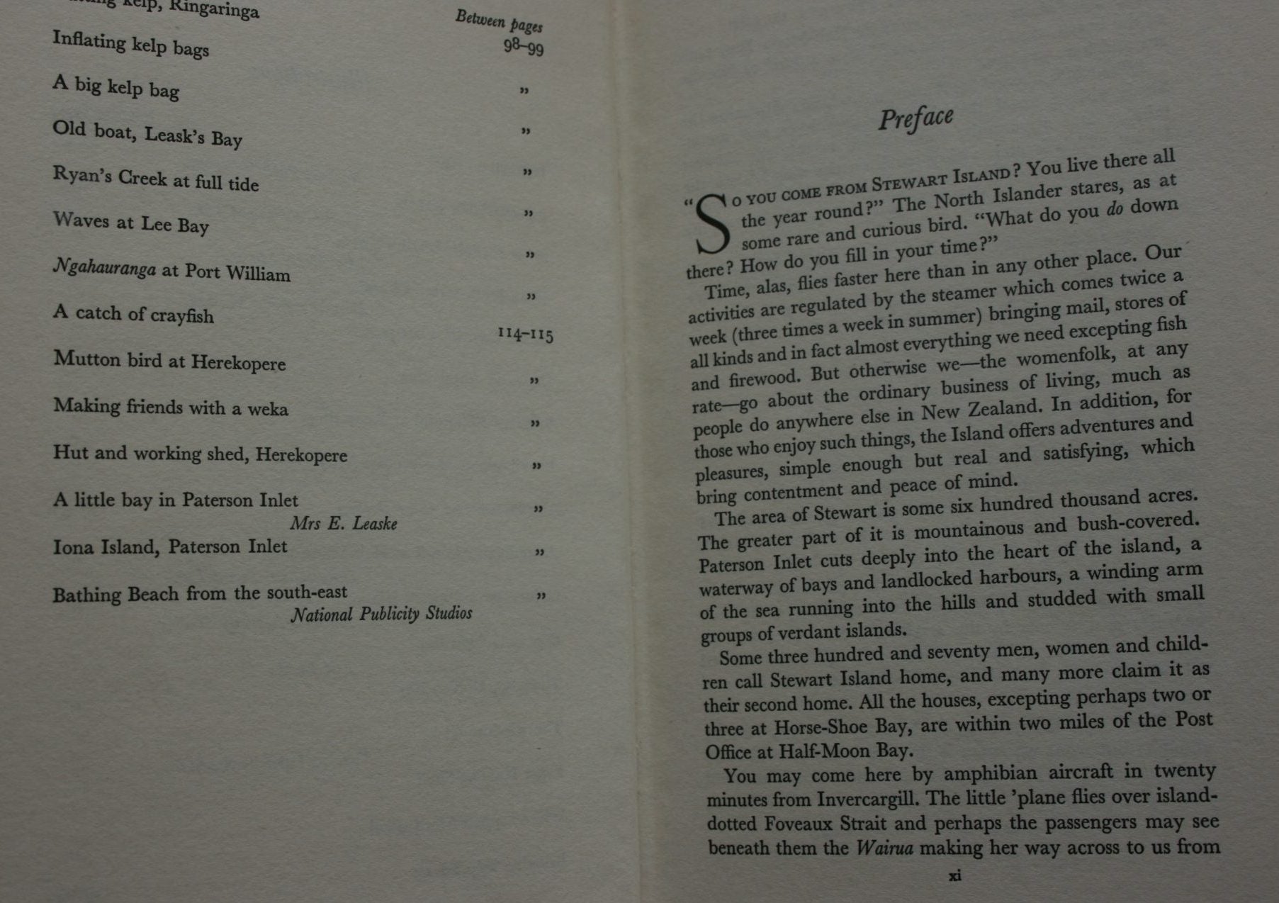 The Little World of Stewart Island. First Edition