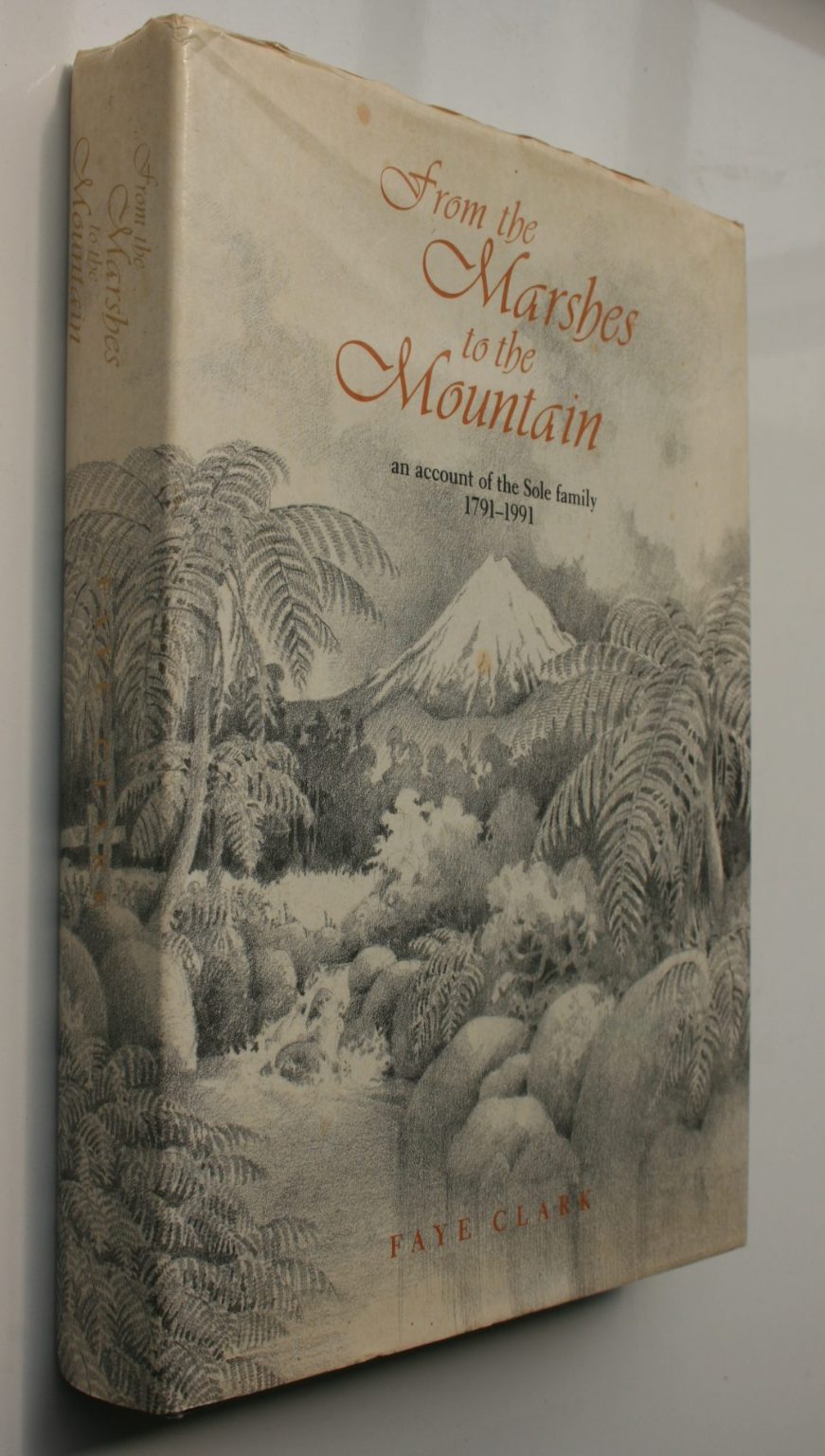 From the Marshes to the Mountain: An Account of the Sole Family, 1791-1991 by Faye Clark.