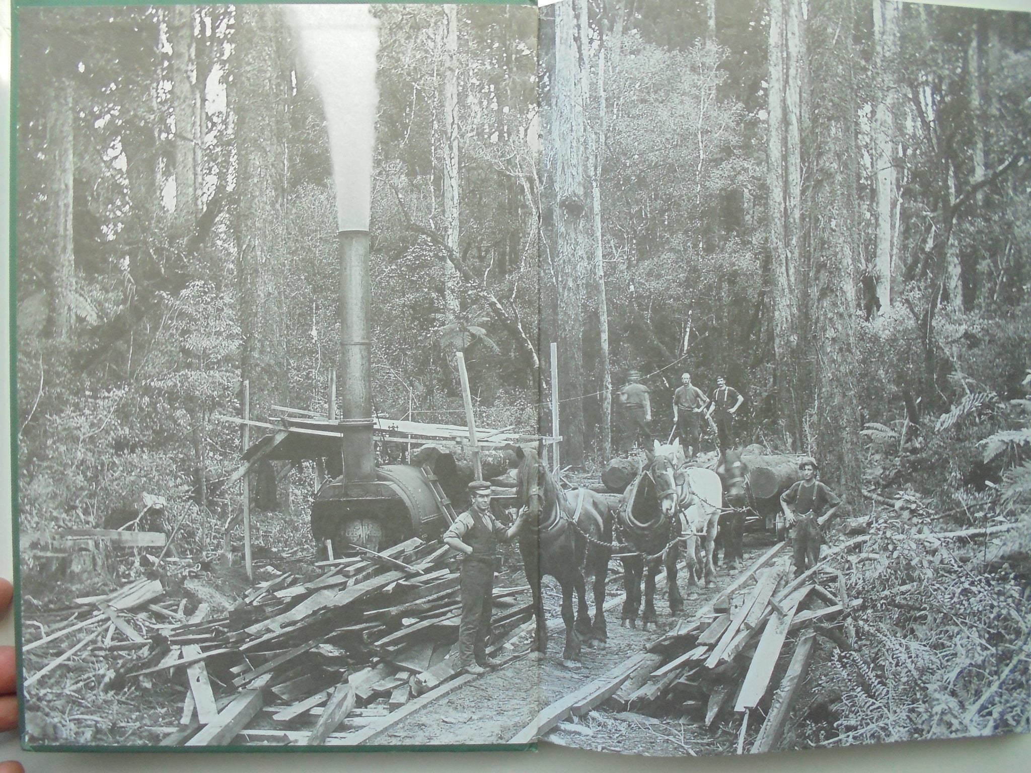 The Era of the Bush Tram in New Zealand. By Paul Mahoney