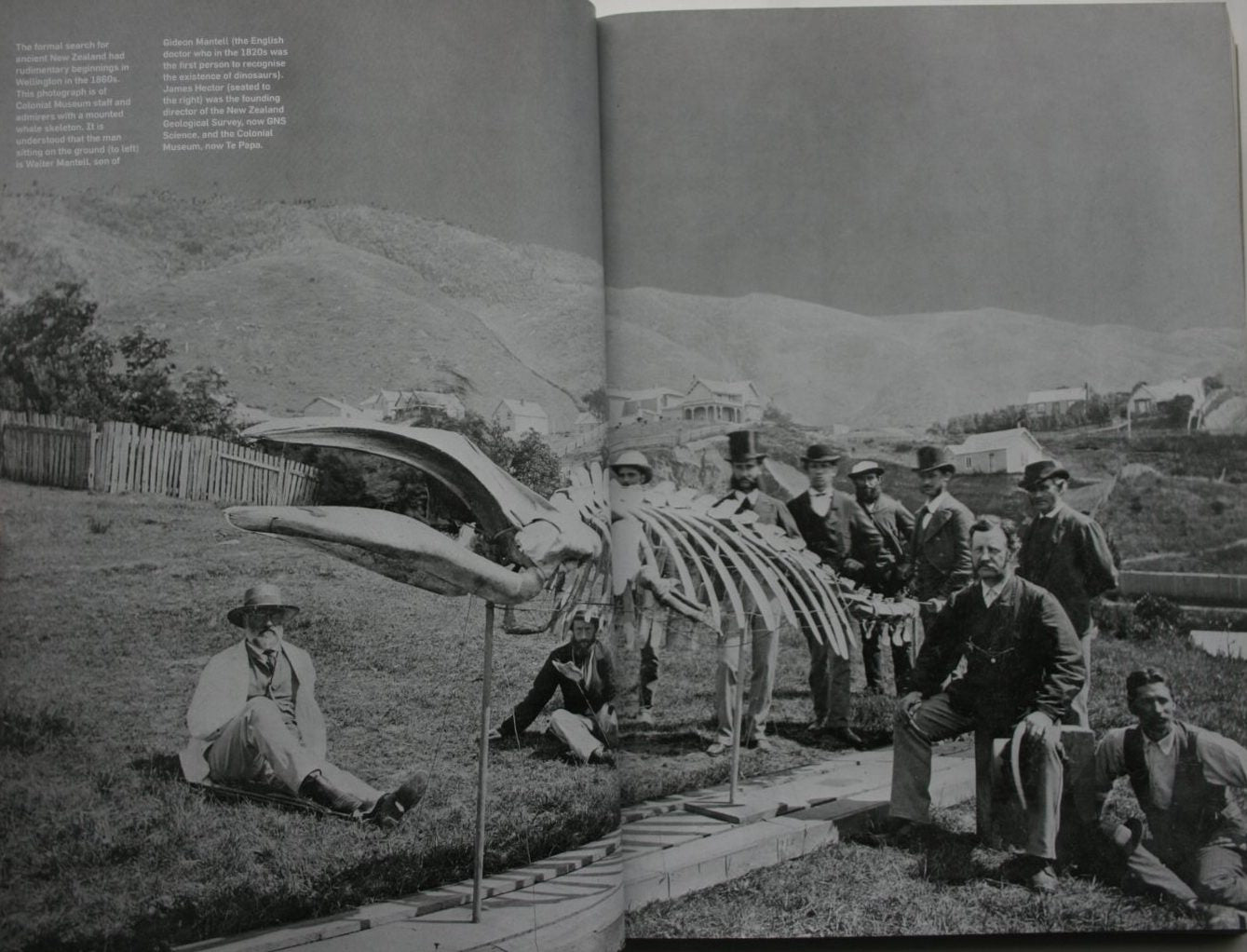 In Search of Ancient New Zealand by Hamish Campbell And Gerard Hutching.