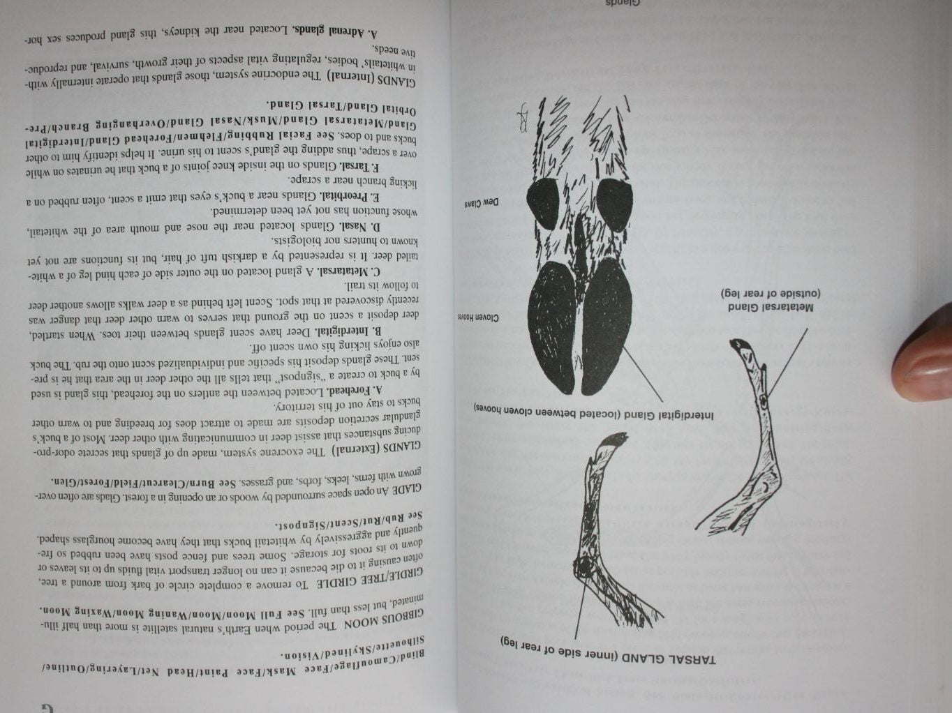 A to Z Guide to White-Tailed Deer and Deer Hunting By Randall Gilbert.