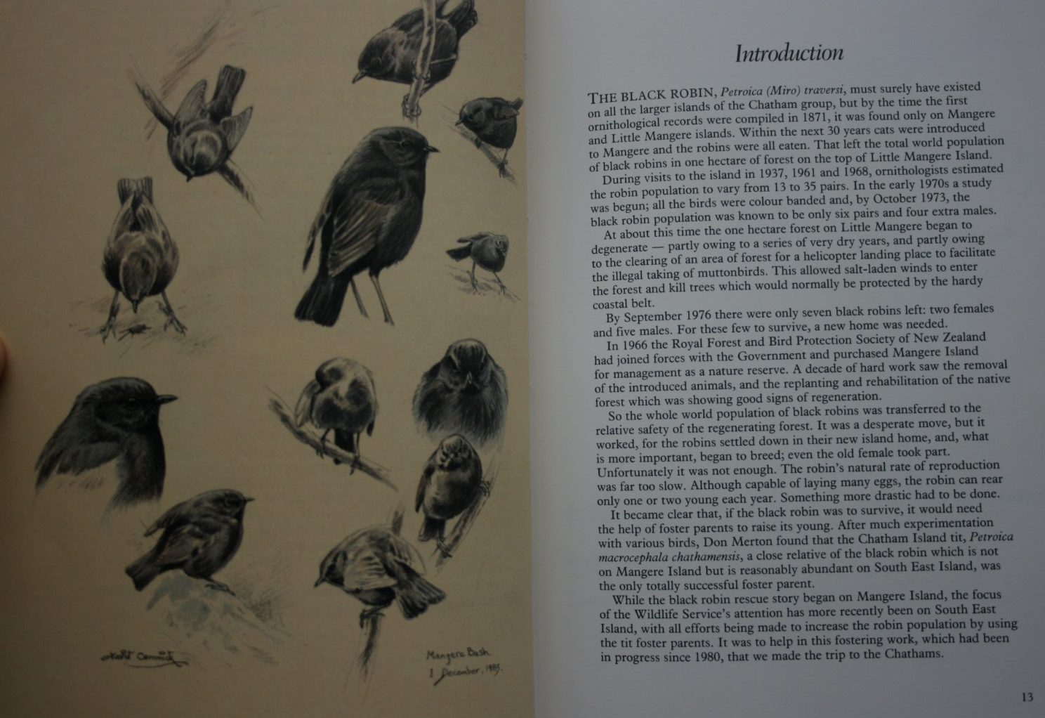 Black robin country. The Chatham Islands and its wildlife. by David Cemmick