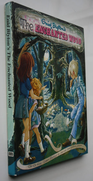 The Enchanted Wood. By Enid Blyton. Illustrated By Janet & Anne Grahame Johnstone