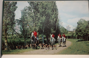 A Great Run. One Hundred Years With the Pakuranga Hounds 1872-1972 a History in Two Parts Part I the Story of the Run, Part II Facts Figures and Fancies. Author is Bingley D.A. Eisdell Moore P.W.