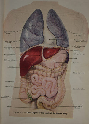 Modern Medical Counsellor. A Practical Guide to Health. Revised and enlarged. by Hubert O Swartout.