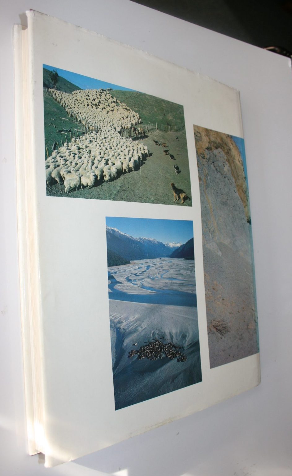 Stockman Country, a New Zealand Mustering Adventure: at Glenaray, Molesworth, Arawhata, Waipaoa & Great Northern Cattle Drive By Bruce Foster & Vernon Wright.