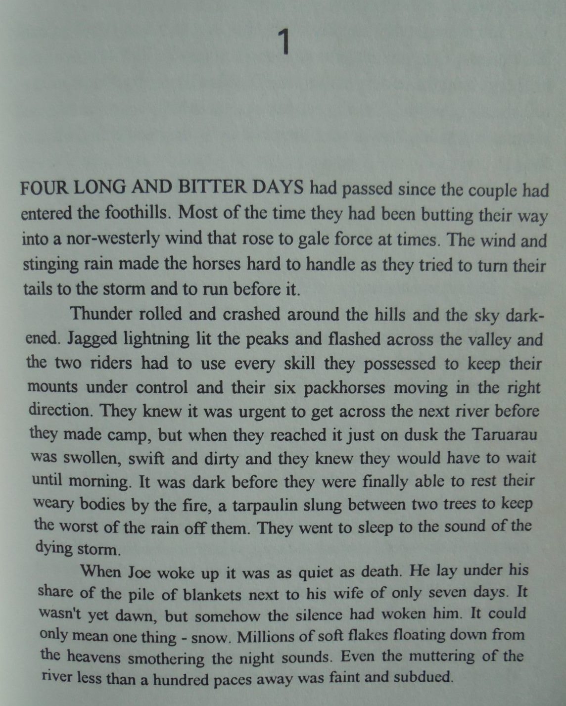 Dustoff for Willie Peters A New Zealand Hunter's Journey through Vietnam By Graeme Sturgeon.