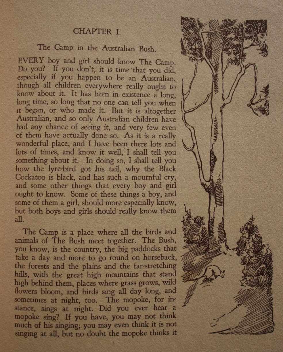 Bunyip Says So. A Tale of the Australian Bush. by W. M. Fleming. 1939, FIRST EDITION.