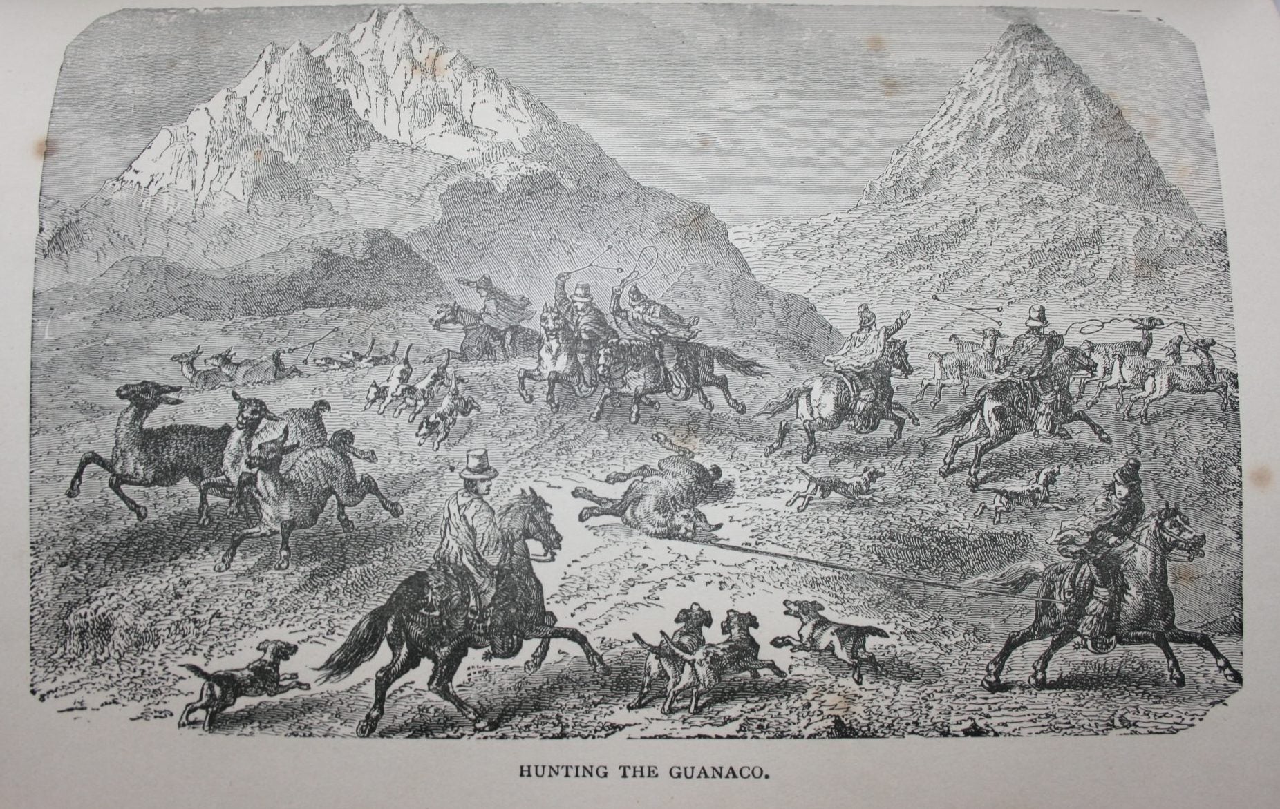 Darwin's Journal During the Voyage of H.M.S. Beagle Round the World. From the corrected and enlarged edition of 1845. Editor: T Bettany