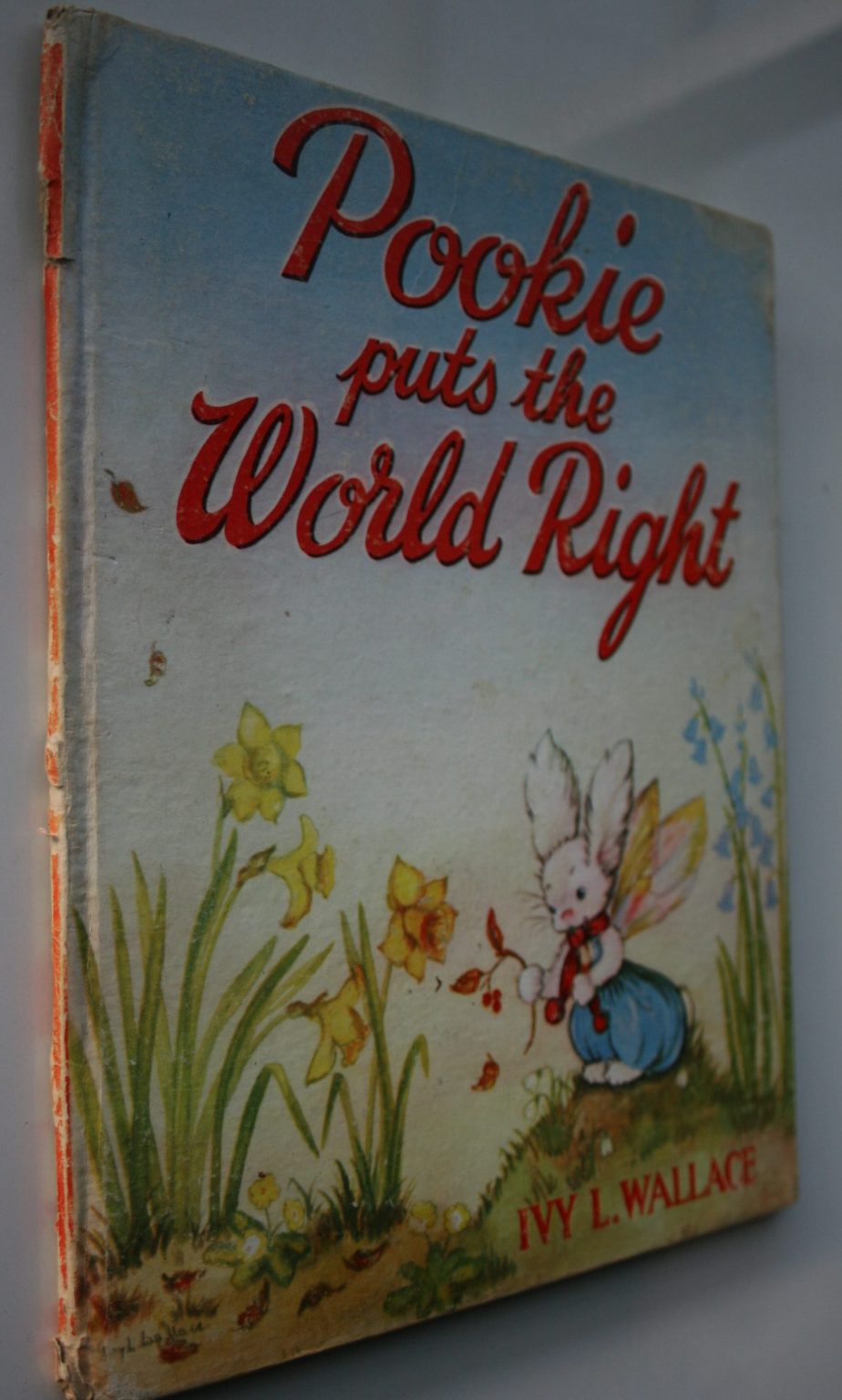 Pookie Puts the World Right by Ivy L. Wallace.