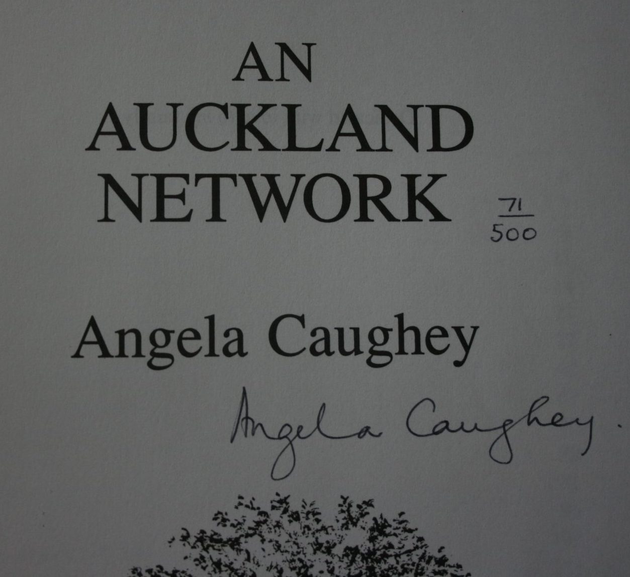 An Auckland Network by Angela Caughey. SIGNED BY AUTHOR, NUMBERED LIMITED EDITION OF 500 COPIES. VERY SCARCE.