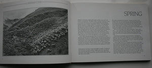 Fabled Land Mesopotamia Station. A Shepherd's Year ; Hall, Peter. (2 books)